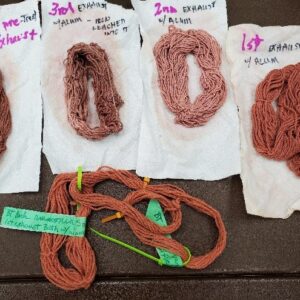 CLASS: Field Identification and Natural Dyeing with Summer Plants