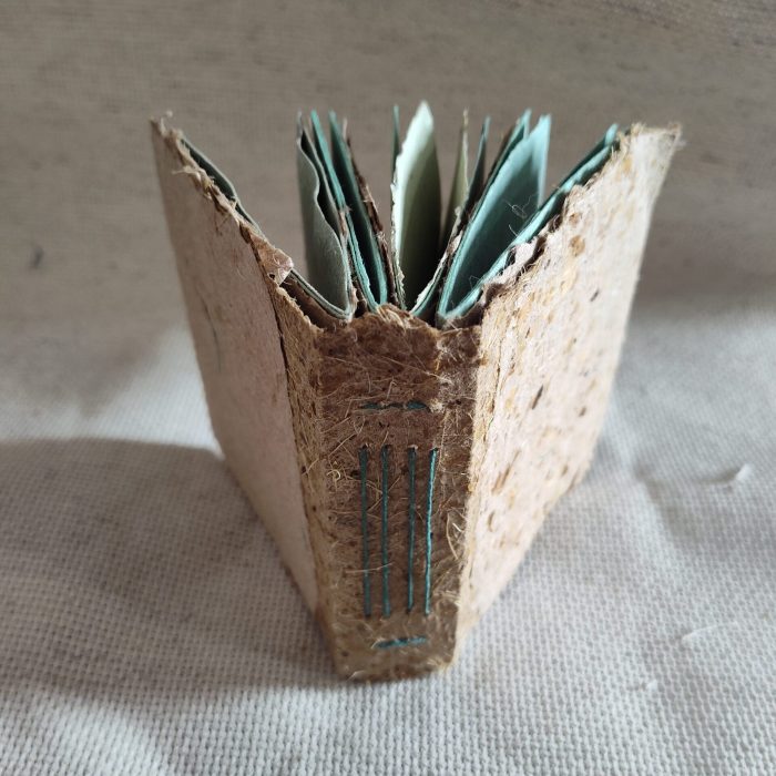 IMG_20250224_154852235